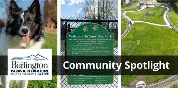 Community Spotlight: Doyle Dog Park