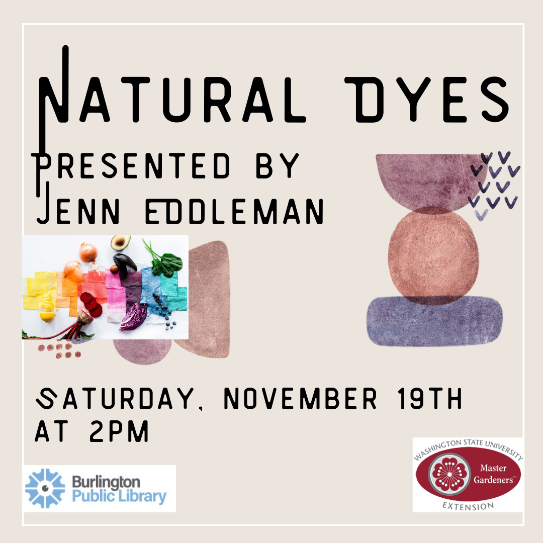 Natural Dye Class November 19 at 2 pm