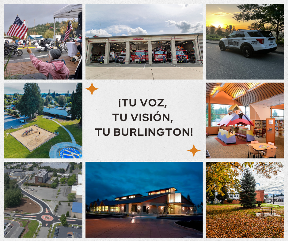 Community Assessment - Spanish